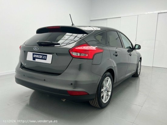 Ford Focus 1.6 GLP TREND+ 117CV 5P - Malaga