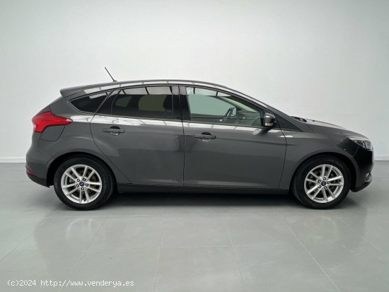 Ford Focus 1.6 GLP TREND+ 117CV 5P - Malaga