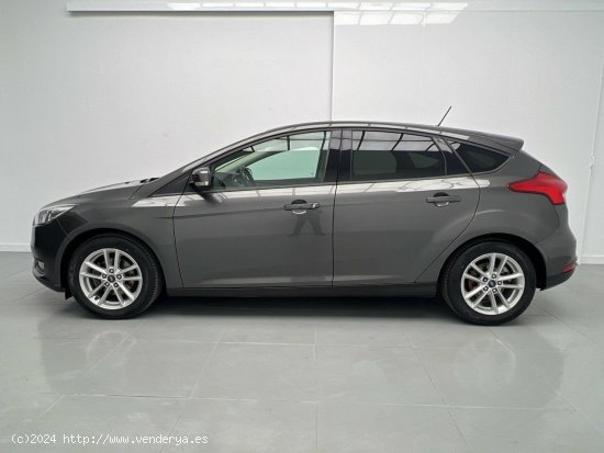 Ford Focus 1.6 GLP TREND+ 117CV 5P - Malaga