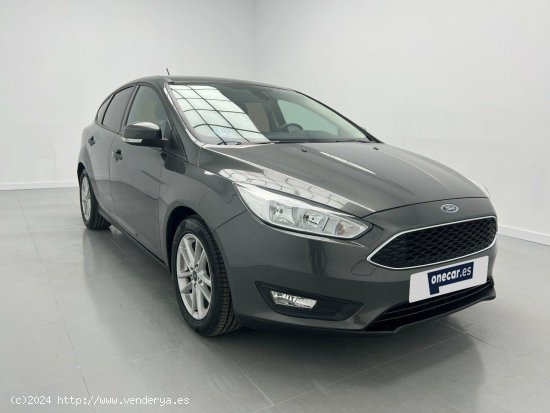 Ford Focus 1.6 GLP TREND+ 117CV 5P - Malaga