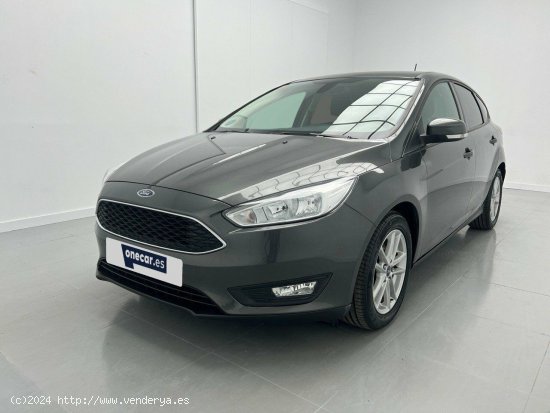 Ford Focus 1.6 GLP TREND+ 117CV 5P - Malaga