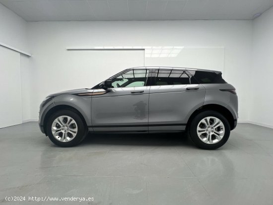 Land-Rover Range Rover Evoque MHEV 2.0 D163 R-DYNAMIC S AUTO 4WD 163CV 5P - Malaga