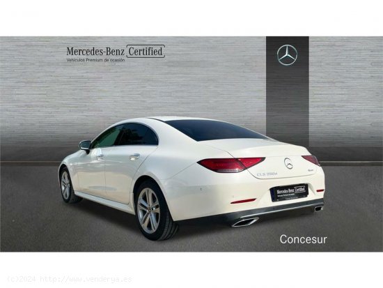 Mercedes Clase CLS CLS 350 d 4MATIC - Pinto