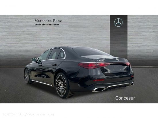 Mercedes Clase E E 220 d - Pinto