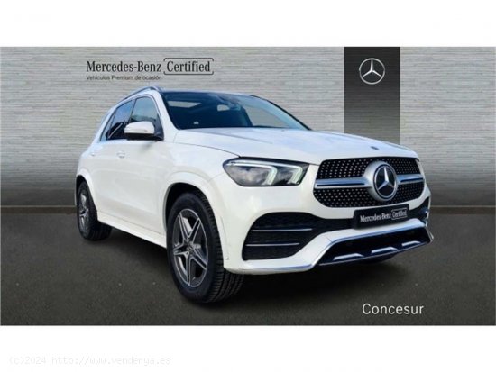 Mercedes Clase GLE GLE 350 de 4MATIC - Pinto