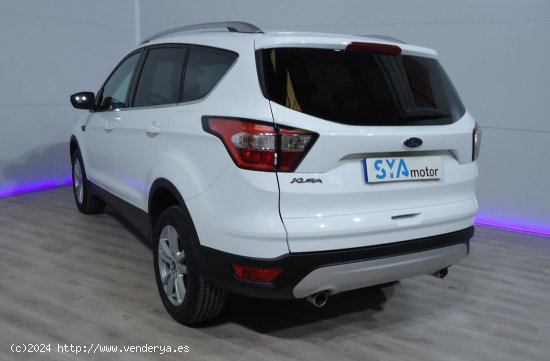 Ford Kuga kuga 1.5 ecoboost 88kw 4x2 trend - Rafelbunyol