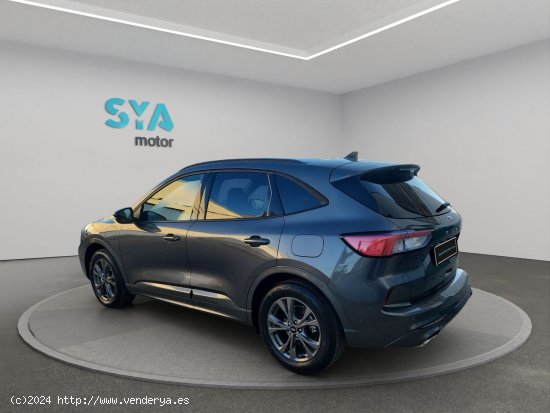 Ford Kuga ST-Line 2.5 Duratec PHEV 165kW Auto - Rafelbunyol