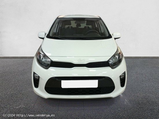 Kia Picanto 1.0 DPi 49kW (67CV) Concept Pack Comfort CLEAR WHITE - València