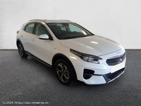  Kia XCeed 1.0 T-GDi Drive 88kW (120CV) CASA WHITE - València 