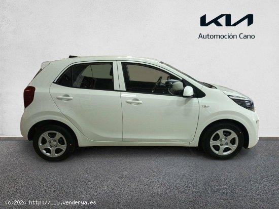 Kia Picanto 1.0 DPi 49kW (67CV) Concept Pack Comfort CLEAR WHITE - València