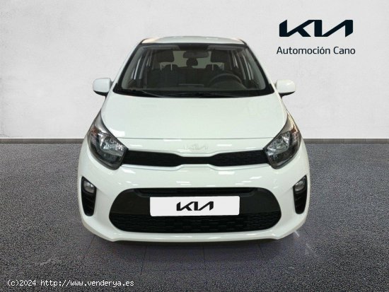 Kia Picanto 1.0 DPi 49kW (67CV) Concept Pack Comfort CLEAR WHITE - València