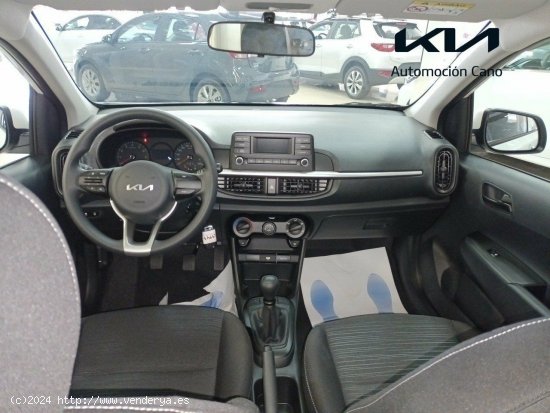 Kia Picanto 1.0 DPi 49kW (67CV) Concept CLEAR WHITE - València