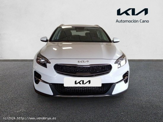 Kia XCeed 1.0 T-GDi Drive 88kW (120CV) CASA WHITE - València