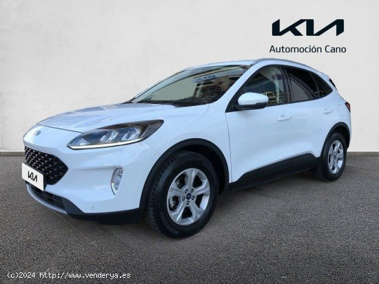 Ford Kuga Trend 1.5 EcoBoost 88kW (120CV) - València