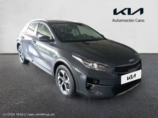 Kia XCeed 1.0 T-GDi Drive 88kW (120CV) DARK PENTA METAL - València