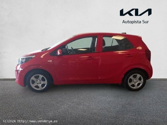 Kia Picanto 1.0 DPi 49kW (67CV) Concept SHINY RED - Valencia