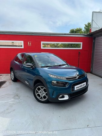 Citroën C4 Cactus PureTech 110 S&S Shine - Granollers