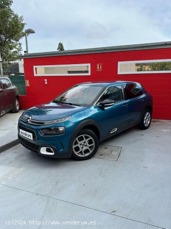 Citroën C4 Cactus PureTech 110 S&S Shine - Granollers