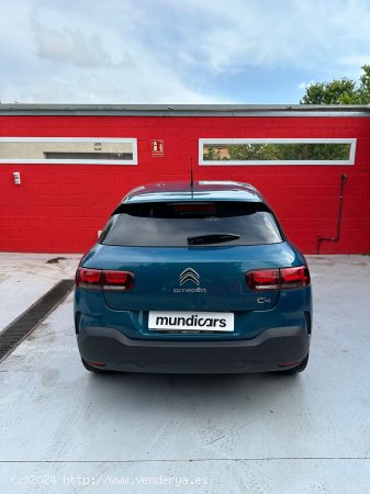 Citroën C4 Cactus PureTech 110 S&S Shine - Granollers