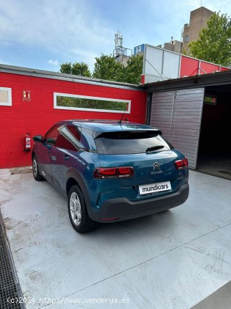 Citroën C4 Cactus PureTech 110 S&S Shine - Granollers