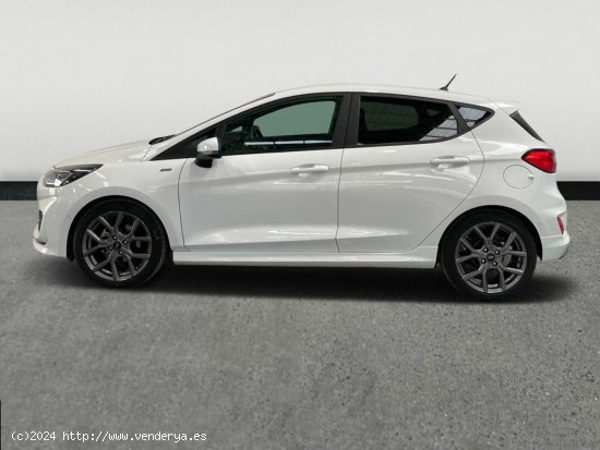 Ford Fiesta 1.0 Ecoboost Mhev St Line 125 - Huércal de Almería