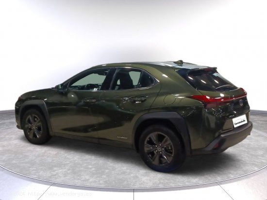 Lexus UX 2.0 250h Luxury - Toledo