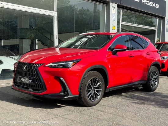 Lexus NX 350h Business City 2WD - Las Rozas de Madrid