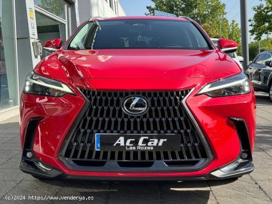 Lexus NX 350h Business City 2WD - Las Rozas de Madrid