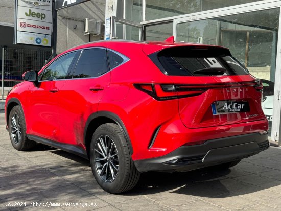 Lexus NX 350h Business City 2WD - Las Rozas de Madrid