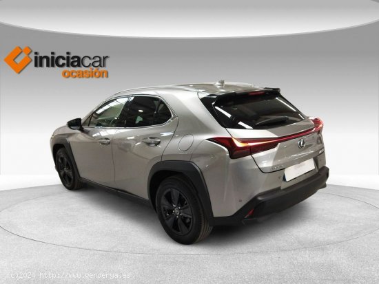 Lexus UX 2.0 250h Business - Málaga