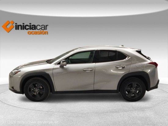 Lexus UX 2.0 250h Business - Málaga