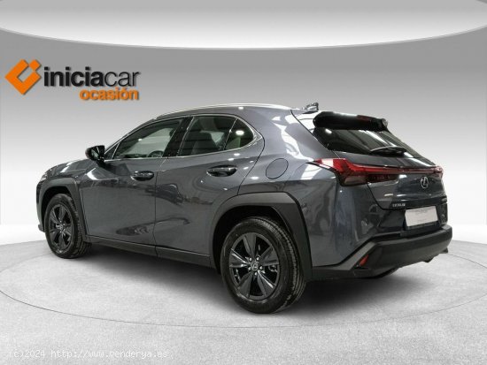 Lexus UX 2.0 250h Business - Málaga