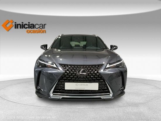 Lexus UX 2.0 250h Business - Málaga