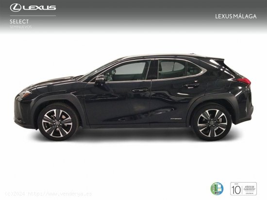 Lexus UX 2.0 250h Premium - Málaga