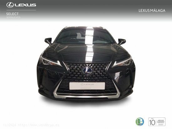 Lexus UX 2.0 250h Premium - Málaga