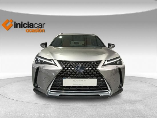 Lexus UX 2.0 250h Luxury - Málaga