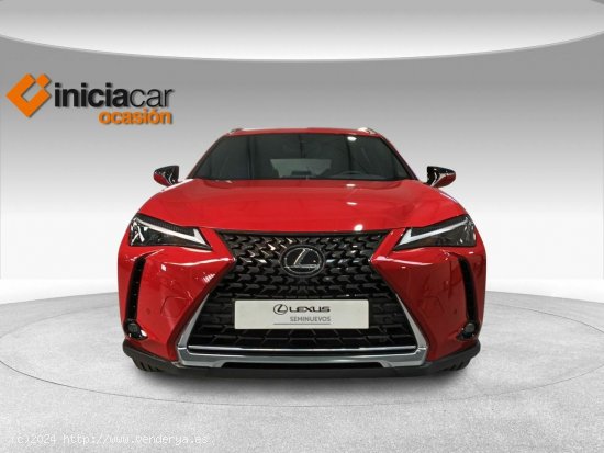 Lexus UX 2.0 250h Premium - Málaga