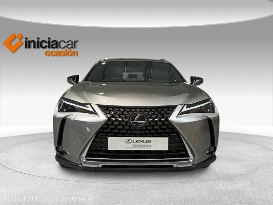 Lexus UX 2.0 250h Premium - Málaga