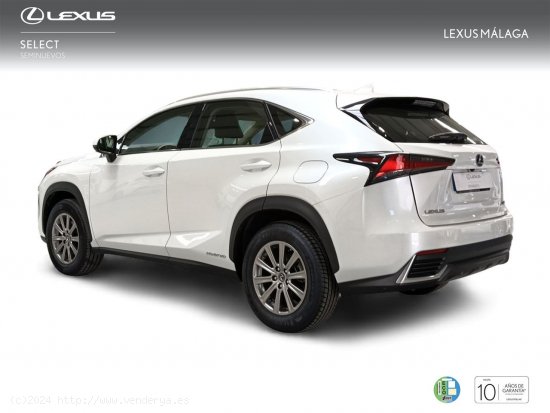 Lexus NX 2.5 300h Business Navigation 2WD - Málaga