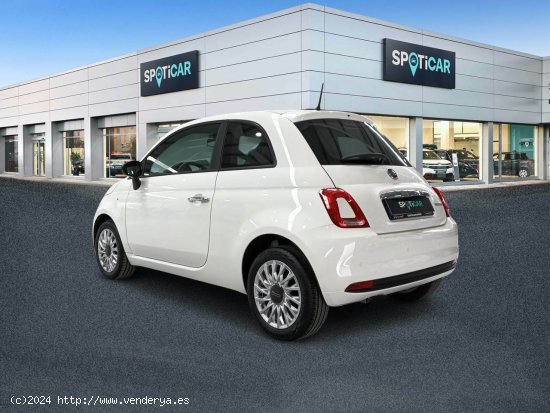 Fiat 500 Cult 1.0 Hybrid 52KW (70 CV) - Málaga