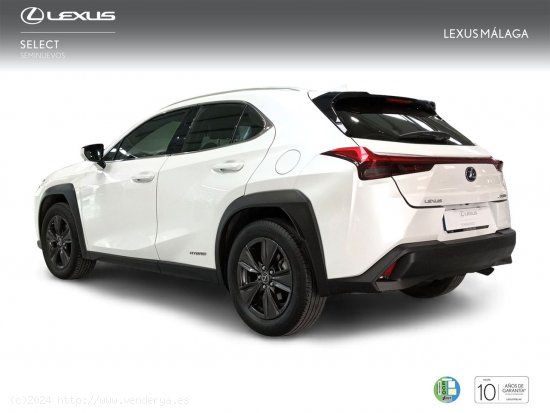 Lexus UX 2.0 250h Business - Málaga