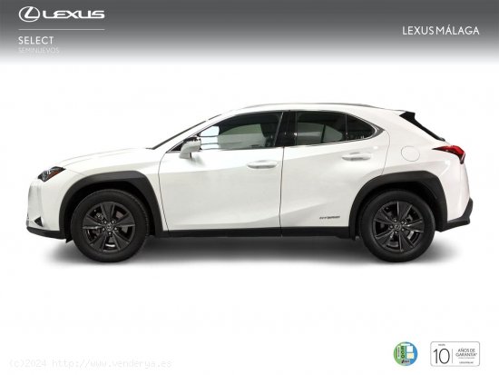 Lexus UX 2.0 250h Business - Málaga