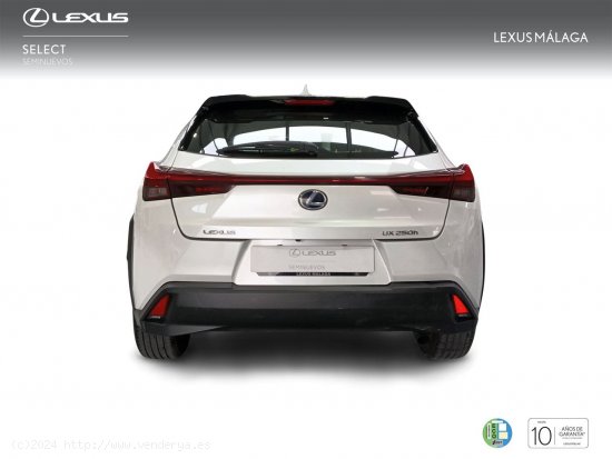 Lexus UX 2.0 250h Business - Málaga