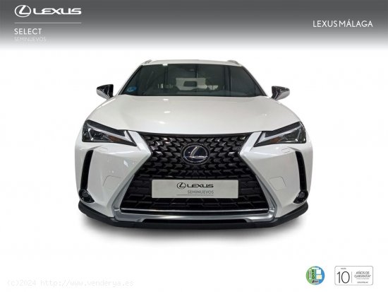 Lexus UX 2.0 250h Business - Málaga