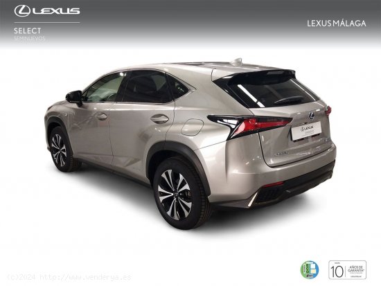 Lexus NX 2.5 300h F Sport Panorámico 4WD - Málaga