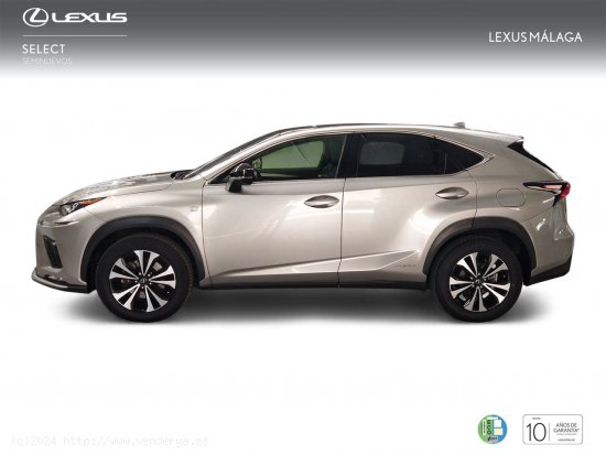 Lexus NX 2.5 300h F Sport Panorámico 4WD - Málaga