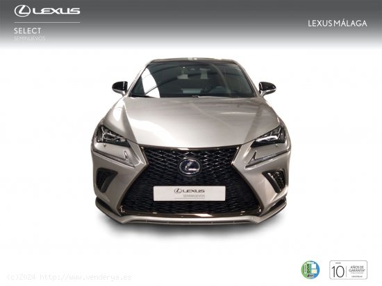 Lexus NX 2.5 300h F Sport Panorámico 4WD - Málaga