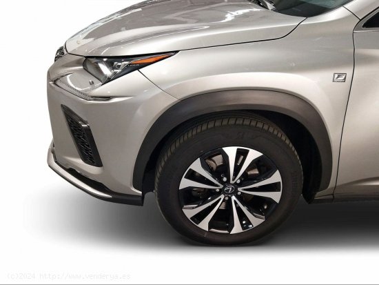 Lexus NX 2.5 300h F Sport Panorámico 4WD - Málaga