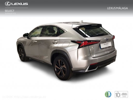 Lexus NX 2.5 300h Sport Edition 2WD - Málaga