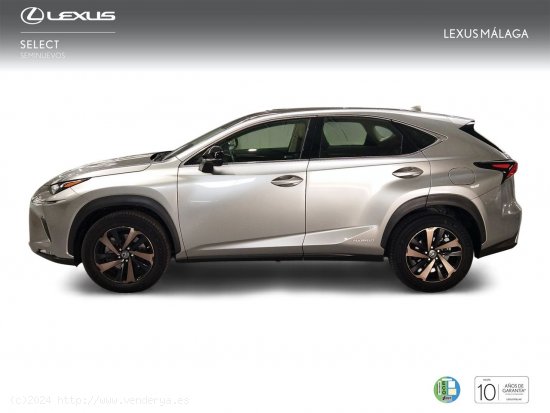 Lexus NX 2.5 300h Sport Edition 2WD - Málaga